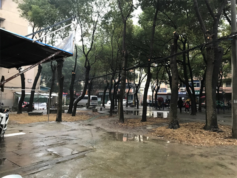 花一社區(qū)黨建廣場現(xiàn)狀照片