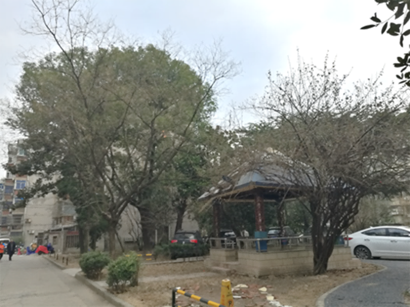 花園社區(qū)松園現(xiàn)狀照片